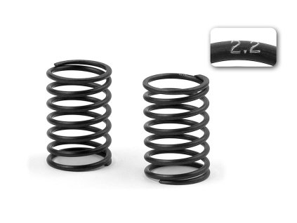 XRAY SPRING-SET C=2.2 (2)