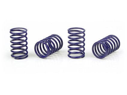 XRAY SPRING-SET D=1.7 (25 LB) C=3.6 BLACK (4)