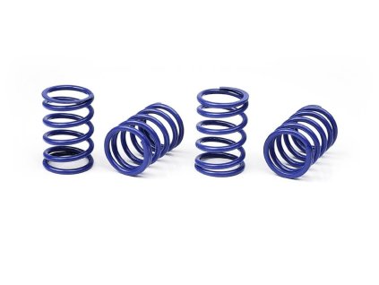 XRAY SPRING-SET D=1.6 (22.5 LB) BLUE - SOFT-MEDIUM (4)