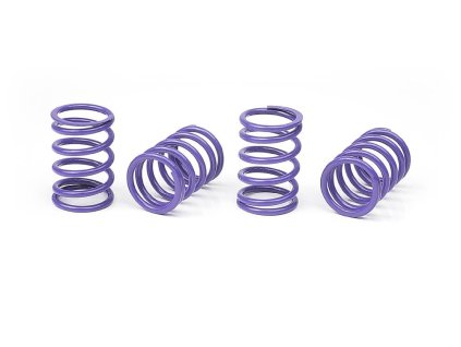 XRAY SPRING-SET D=1.7 (28 LB) VIOLET - MEDIUM (4)