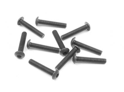 HEX SCREW SH M3x16 (10)