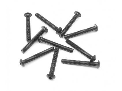 HEX SCREW SH M3x22 (10)