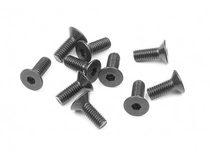 HEX SCREW SFH M3x8 (10)