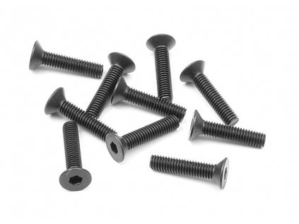 HEX SCREW SFH M3x14  (10)