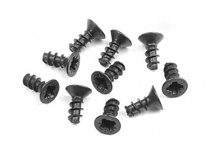 SCREW PHILLIPS FH 2.5x6 (10)