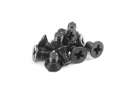 SCREW PHILLIPS M 2.5x4  (10)