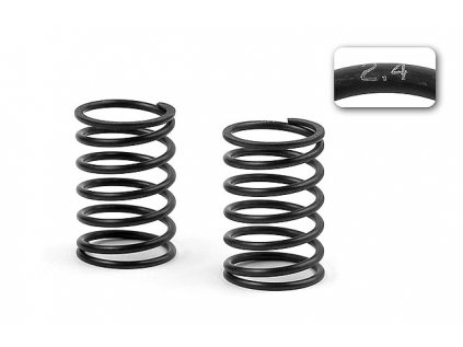 XRAY SPRING-SET C=2.4 (2)