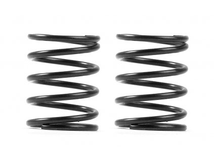 XRAY 3S SPRING-SET C=3.5 (2)