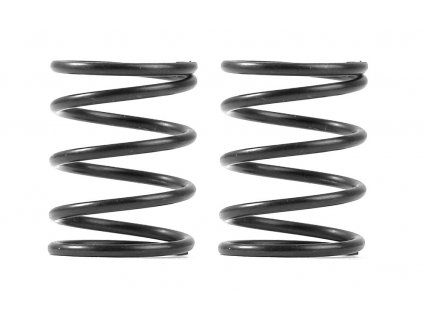 XRAY 3S SPRING-SET C=4.0 (2)