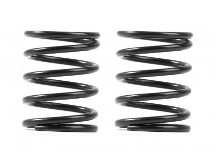 XRAY 3S SPRING-SET C=4.5 (2)