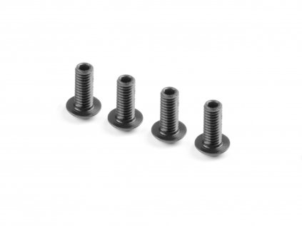 HEX SCREW SH M4x10 WITH HEX FROM BOTTOM  (4)