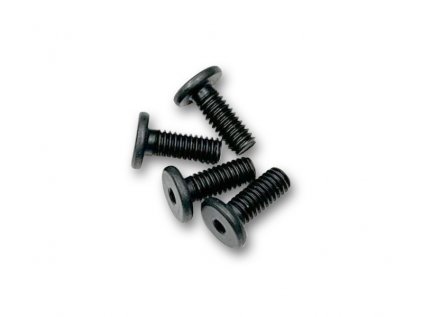 HEX SCREW FLAT HEAD CAP FHS M4x10  (4)