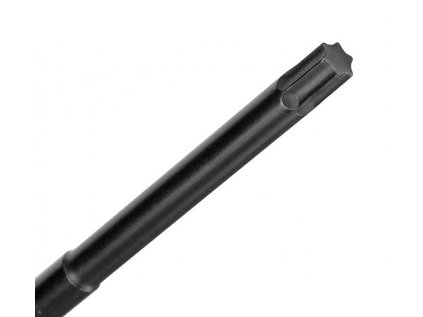 Torx Replacement Tip 25 x 120mm (T25)
