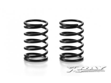 XRAY SPRING-SET C=4.0 - MEDIUM - REAR (2)