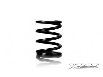 XRAY SPRING-SET C=10.0 - FRONT (2)