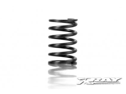 XRAY SPRING-SET C=5.6 - REAR (2)