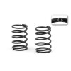 XRAY SPRING-SET C=3.2 (2)