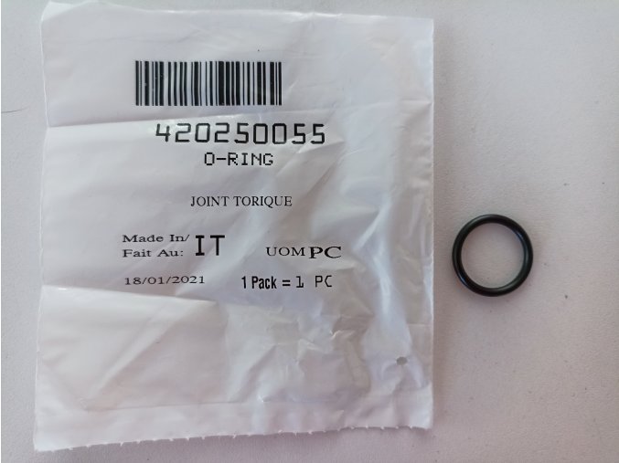 O-RING 420250055