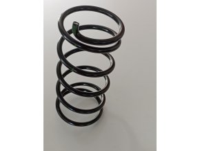 COMPRESION SPRING 420638126