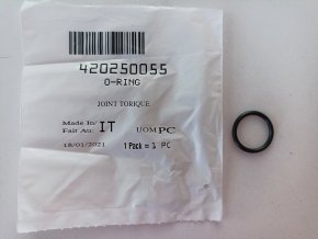 O-RING 420250055