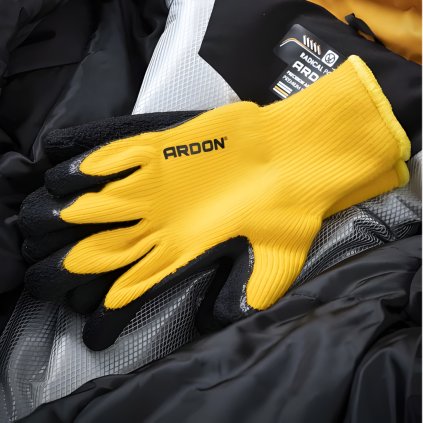 Ardon petrax winter