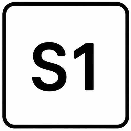 S1