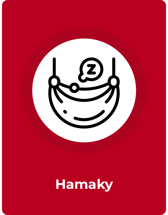 hamaky ticket to the moon