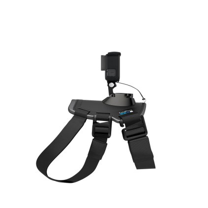 4848 fetch psi postroj gopro