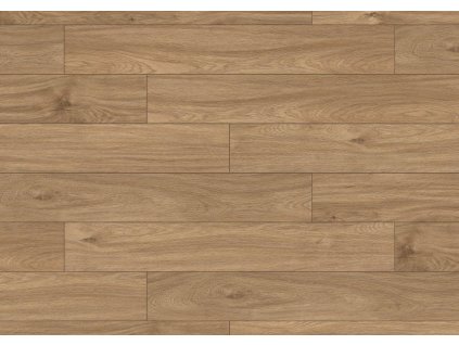 K338 V4 1285x192 frontal
