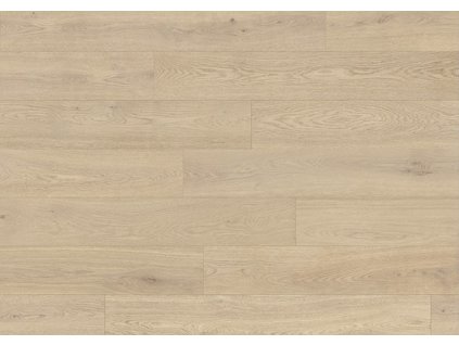 K669D V4 1288x195 frontal WEBGBLI5R7x0N4eZ