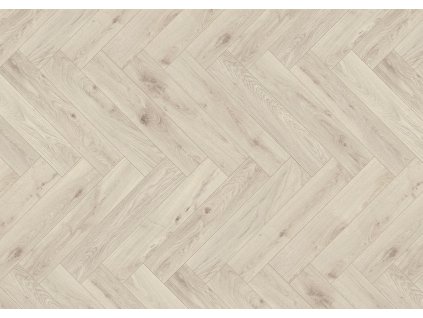5953 V4 630x126 frontal