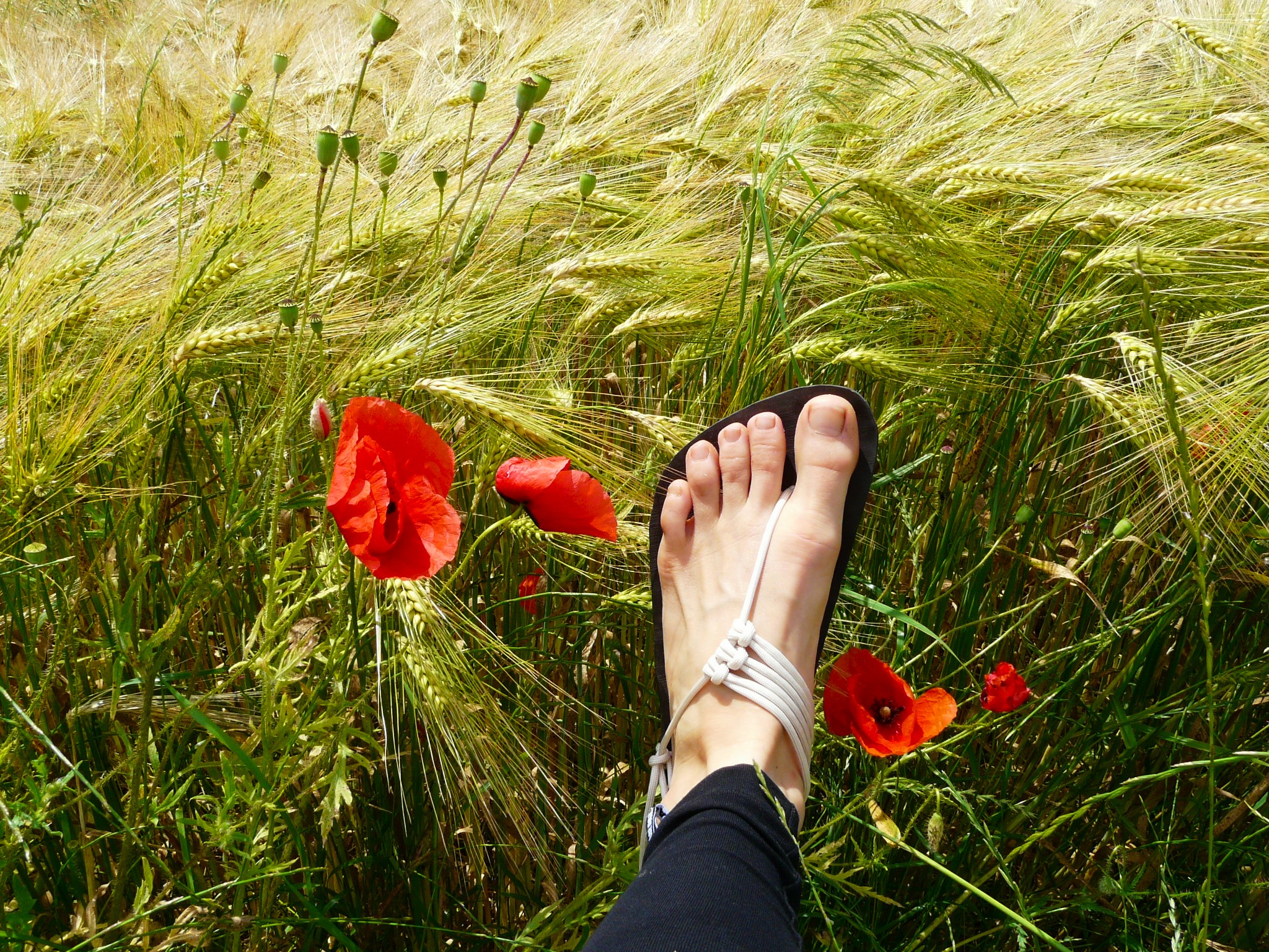 Barefoot sandals