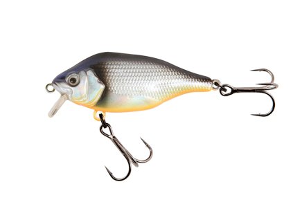 FOX RAGE Funk Bug (Variant Funk Bug 50mm DR - UV Real Shiner)