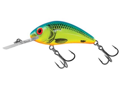 SALMO Tiny Floating 1 3/16" (Variant Hot Cockchafer)