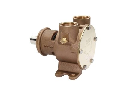 pompa in bronzo 1 1 4 albero standard