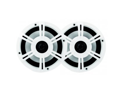 altoparlanti bluetooth