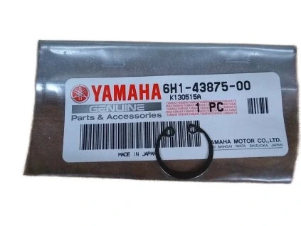 6H1 43875 00