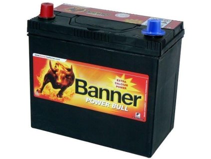 vyr 44331BANNER POWER BULL P45 24 45AH 12V P4524