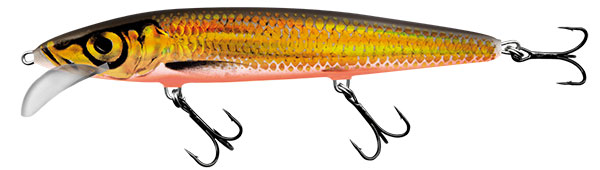 SALMO Lil Bug Floating 1 3/16" Variant: Green Bug