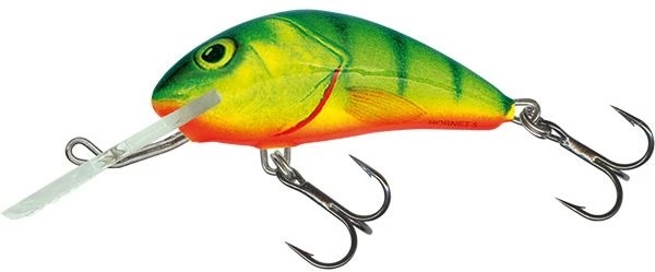 SALMO Hornet Sinking 1 3/8" Variant: Hot Perch