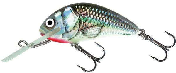 SALMO Hornet Sinking 1 3/8" Variant: Holographic Grey Shiner
