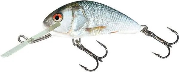 SALMO Hornet Sinking 1 3/8" Variant: Real Dace