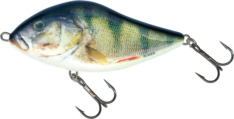 SALMO Rattlin Hornet 6.5cm Floating Variant: Hot Perch