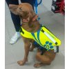 OBRIEN Plávacia vesta neoprénová pre psa (Variant do 7 kg)