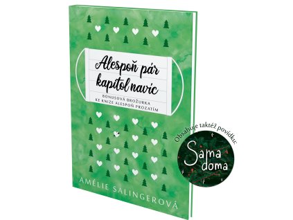Amélie Salingerová - Alespoň pár kapitol navíc (Varianta 1. vydání (2022))