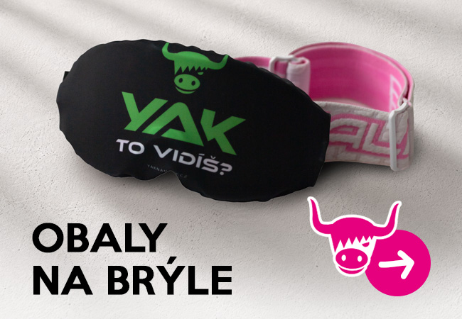 brýle
