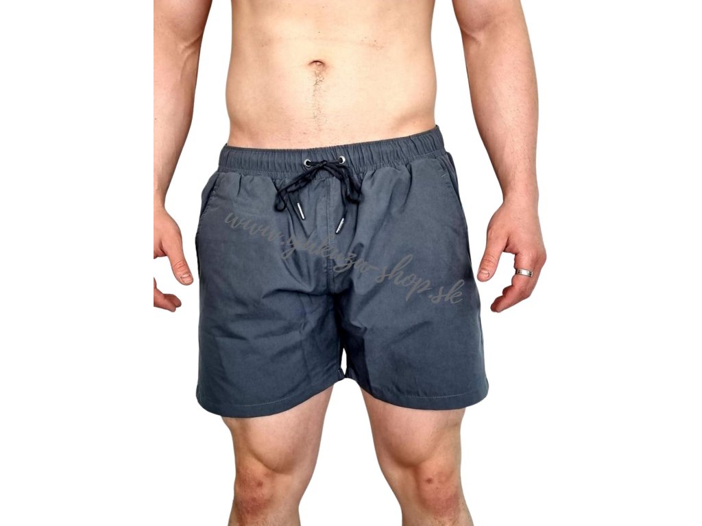 Alpha Industries plavky Hydrochromic AOP Swim Short pánske šortky Alpha Rep  Grey