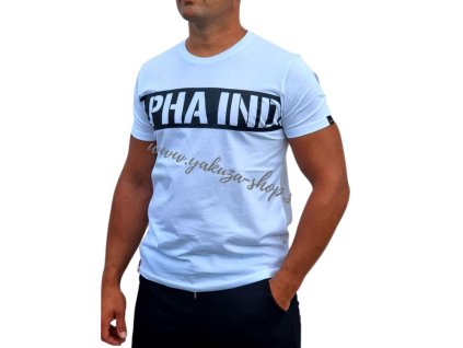 Alpha Industries Printed Stripe T white tričko pánske 1