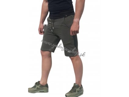 Alpha Industries Basic Short SL dark olive pánske šortky 1