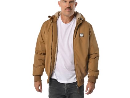 pitbull-west-coast-zimna-bunda-elkwood-honney-yellow